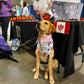 Dukey Bandana