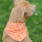 Dukey Bandana